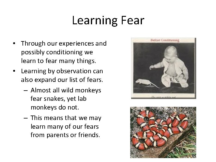 Learning Fear • Through our experiences and possibly conditioning we learn to fear many
