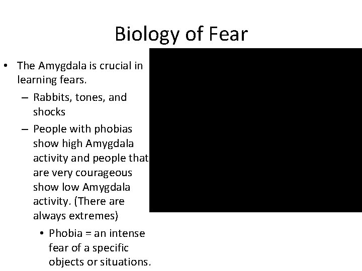 Biology of Fear • The Amygdala is crucial in learning fears. – Rabbits, tones,