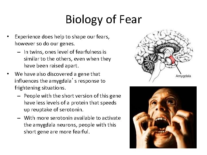 Biology of Fear • Experience does help to shape our fears, however so do