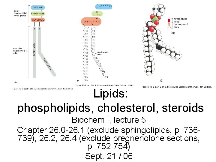 Lipids: phospholipids, cholesterol, steroids Biochem I, lecture 5 Chapter 26. 0 -26. 1 (exclude