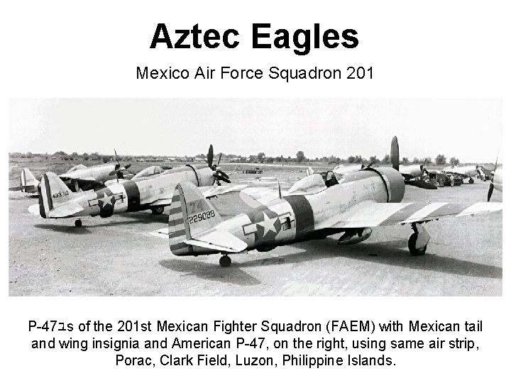 Aztec Eagles Mexico Air Force Squadron 201 P-47ﾕs of the 201 st Mexican Fighter