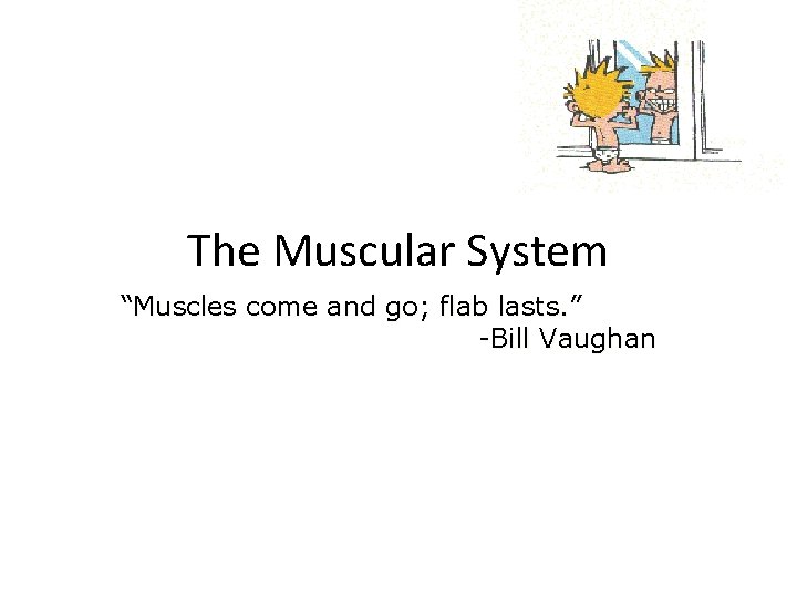 The Muscular System “Muscles come and go; flab lasts. ” -Bill Vaughan 