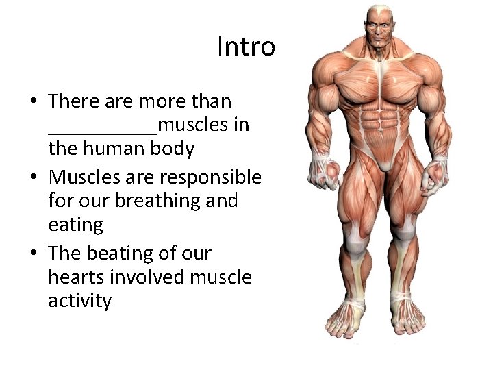 Intro • There are more than _____muscles in the human body • Muscles are