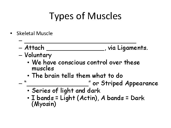 Types of Muscles • Skeletal Muscle – _______________ – Attach ________, via Ligaments. –