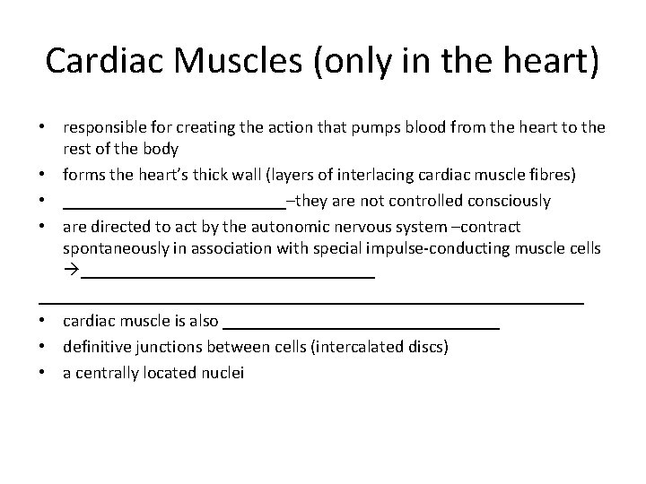 Cardiac Muscles (only in the heart) • responsible for creating the action that pumps