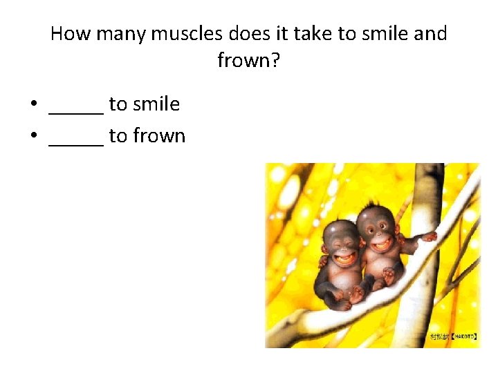 How many muscles does it take to smile and frown? • _____ to smile