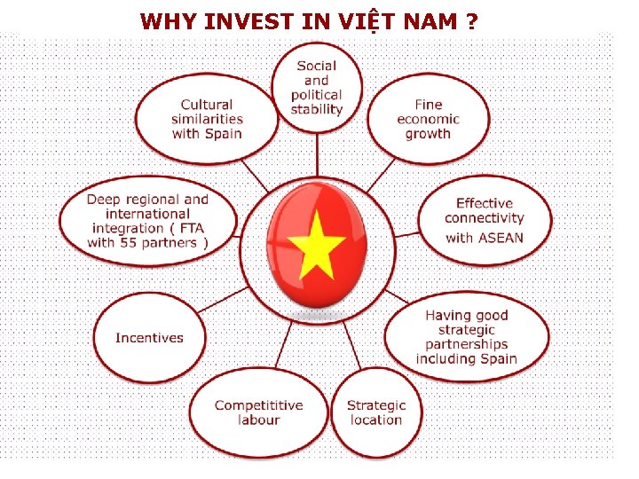 WHY INVEST IN VIỆT NAM ? 