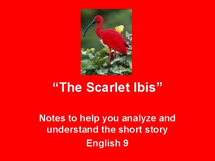 “The Scarlet Ibis” Notes to help you analyze and understand the short story English