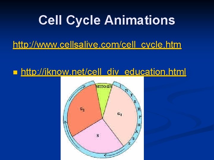 Cell Cycle Animations http: //www. cellsalive. com/cell_cycle. htm n http: //iknow. net/cell_div_education. html Cell Cycle Animations http: //www. cellsalive. com/cell_cycle. htm n http: //iknow. net/cell_div_education. html
