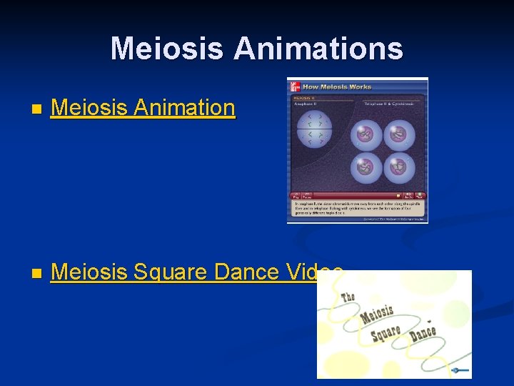 Meiosis Animations n Meiosis Animation n Meiosis Square Dance Video Meiosis Animations n Meiosis Animation n Meiosis Square Dance Video