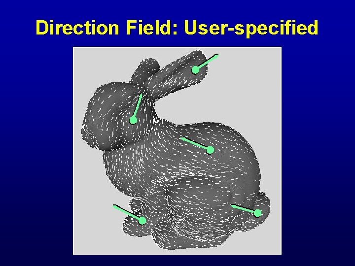 Direction Field: User-specified 