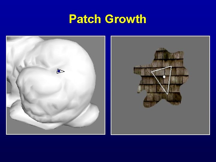 Patch Growth 