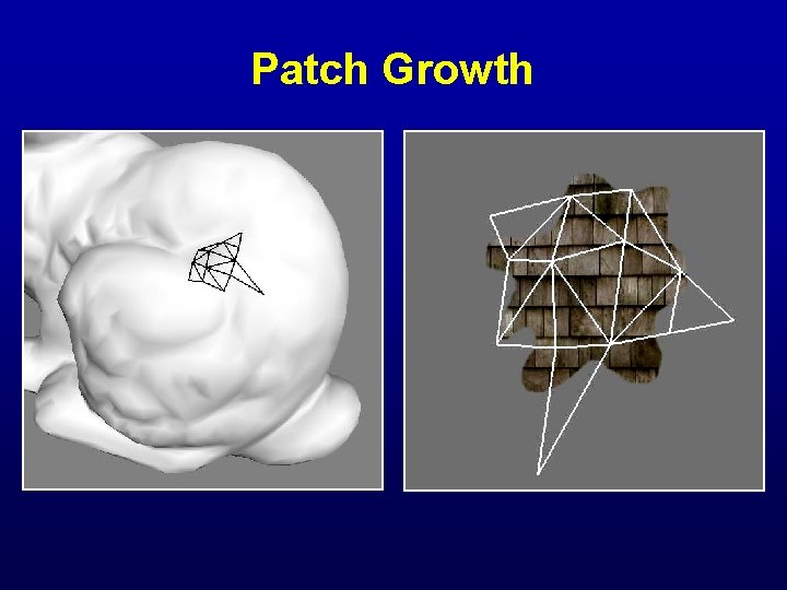 Patch Growth 