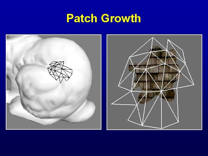 Patch Growth 