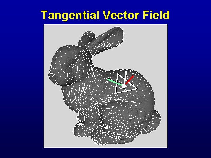 Tangential Vector Field 