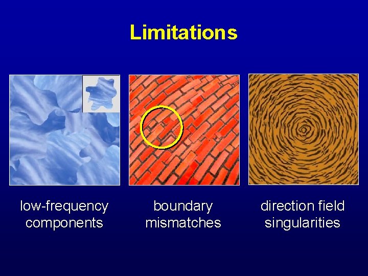 Limitations low-frequency components boundary mismatches direction field singularities 