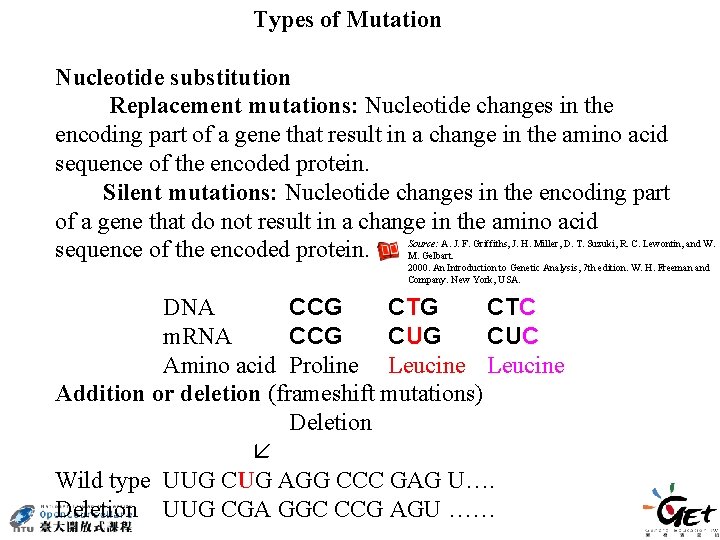 Types of Mutation Nucleotide substitution Replacement mutations: Nucleotide changes in the encoding part of