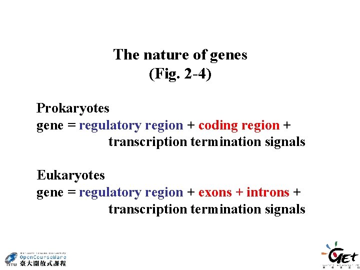 The nature of genes (Fig. 2 -4) Prokaryotes gene = regulatory region + coding