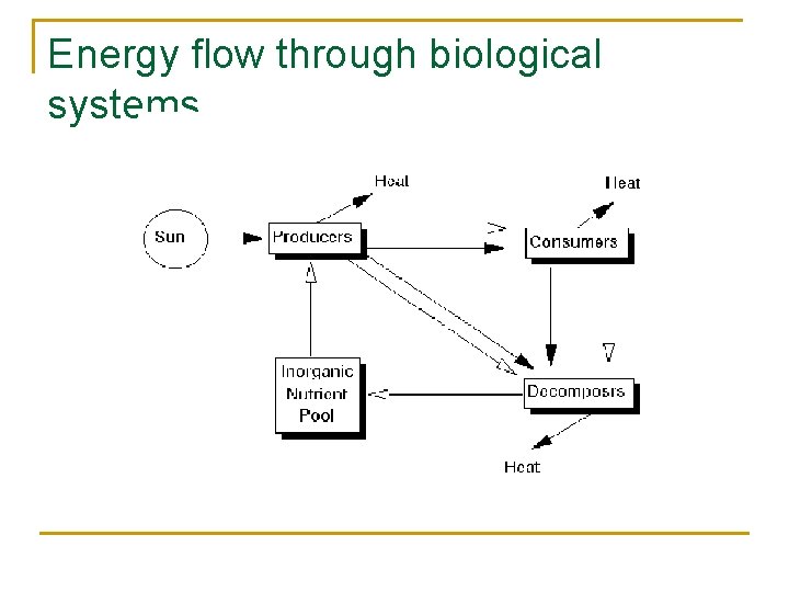 Energy flow through biological systems 