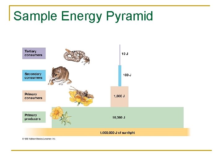 Sample Energy Pyramid 