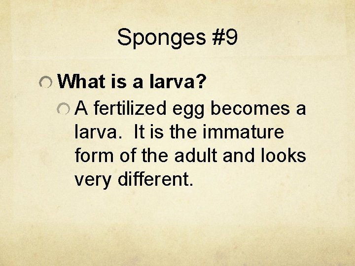 Sponges #9 What is a larva? A fertilized egg becomes a larva. It is
