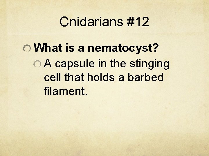 Cnidarians #12 What is a nematocyst? A capsule in the stinging cell that holds