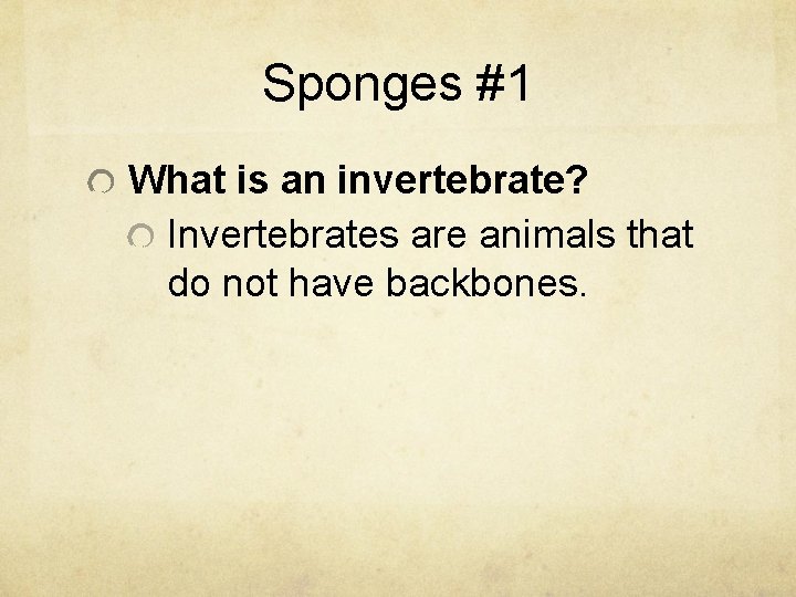 Sponges #1 What is an invertebrate? Invertebrates are animals that do not have backbones.
