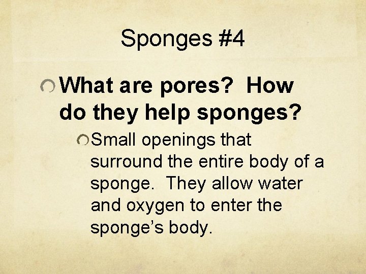 Sponges #4 What are pores? How do they help sponges? Small openings that surround