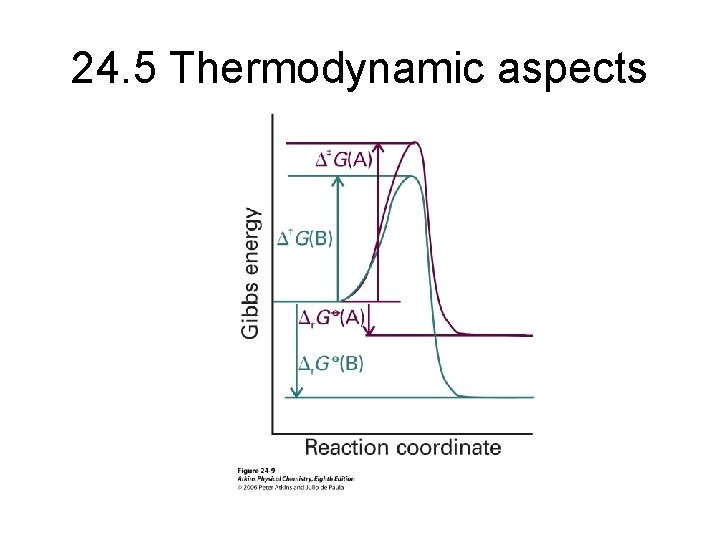 24. 5 Thermodynamic aspects 