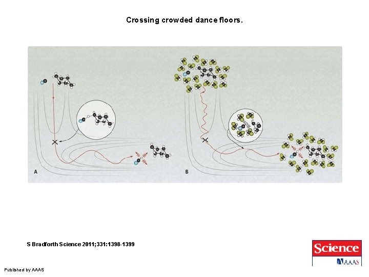 Crossing crowded dance floors. S Bradforth Science 2011; 331: 1398 -1399 Published by AAAS