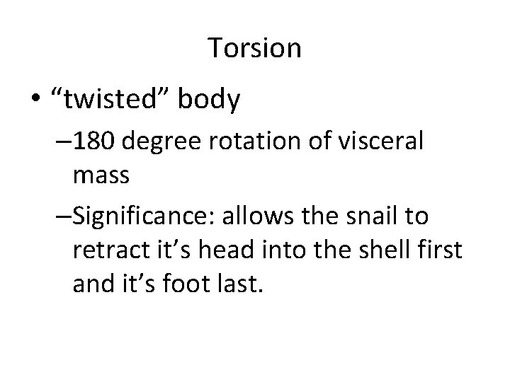 Torsion • “twisted” body – 180 degree rotation of visceral mass –Significance: allows the