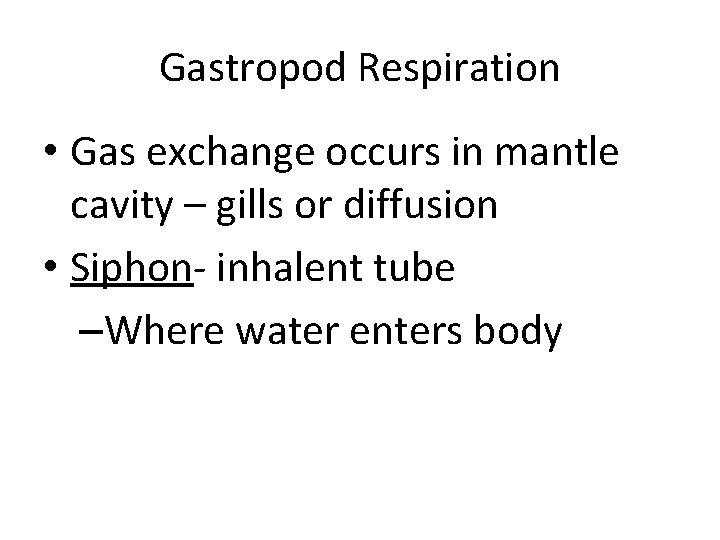 Gastropod Respiration • Gas exchange occurs in mantle cavity – gills or diffusion •