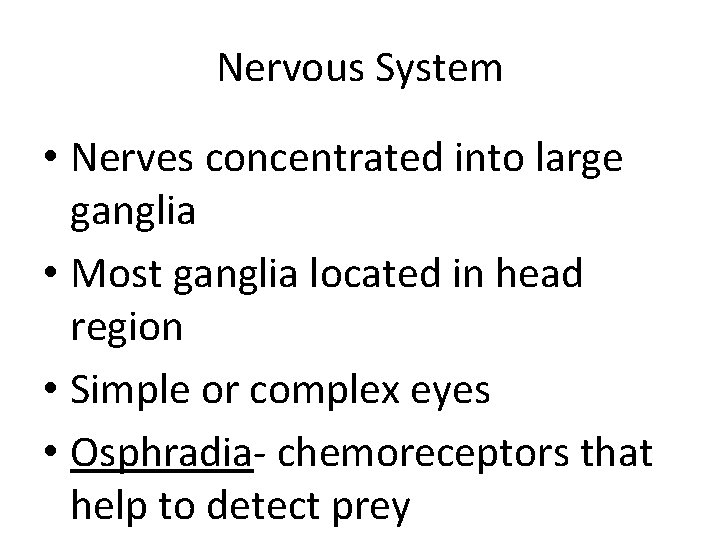 Nervous System • Nerves concentrated into large ganglia • Most ganglia located in head