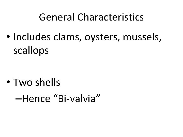 General Characteristics • Includes clams, oysters, mussels, scallops • Two shells –Hence “Bi-valvia” 