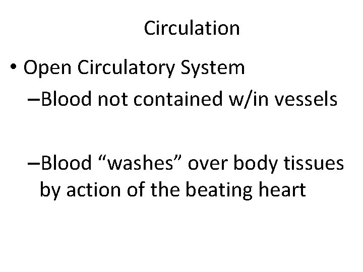 Circulation • Open Circulatory System –Blood not contained w/in vessels –Blood “washes” over body