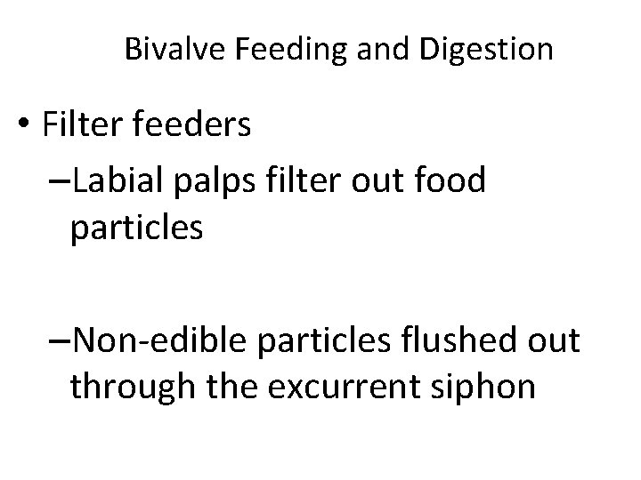 Bivalve Feeding and Digestion • Filter feeders –Labial palps filter out food particles –Non-edible