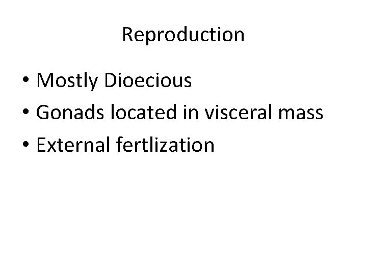 Reproduction • Mostly Dioecious • Gonads located in visceral mass • External fertlization 
