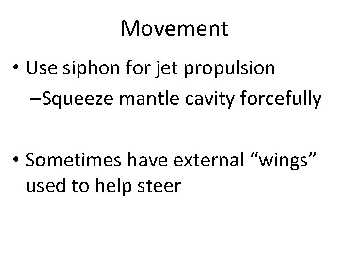 Movement • Use siphon for jet propulsion –Squeeze mantle cavity forcefully • Sometimes have