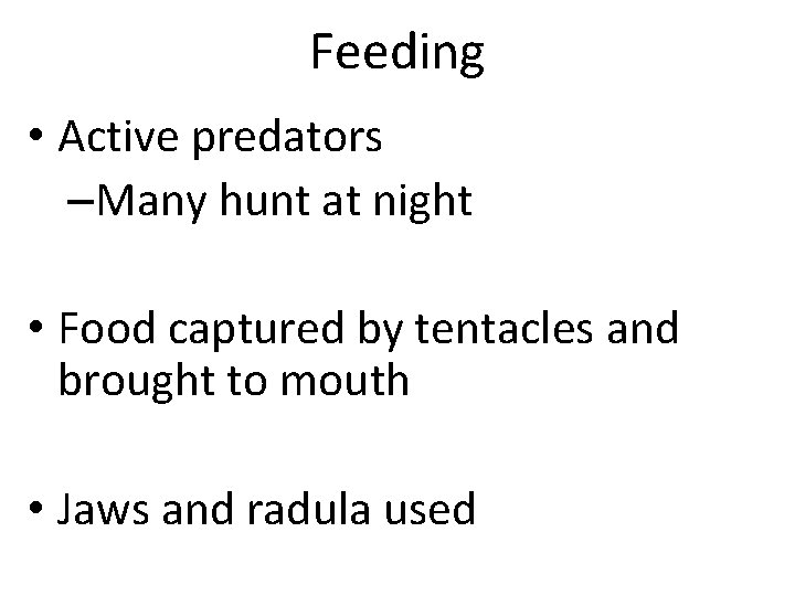 Feeding • Active predators –Many hunt at night • Food captured by tentacles and