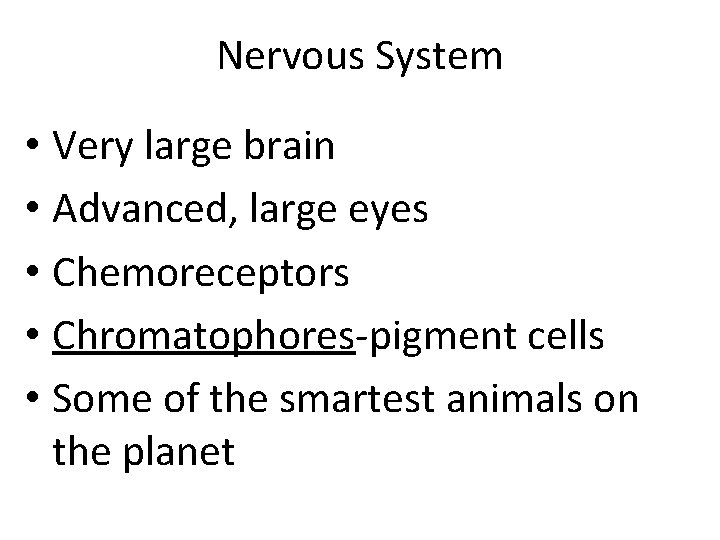 Nervous System • Very large brain • Advanced, large eyes • Chemoreceptors • Chromatophores-pigment