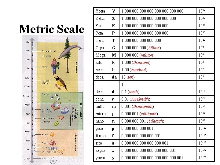 Metric Scale Yotta Y 1 000 000 1024 Zetta Z 1 000 000 1021 Metric Scale Yotta Y 1 000 000 1024 Zetta Z 1 000 000 1021