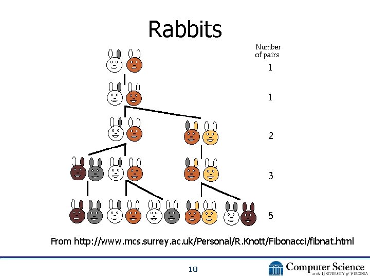 Rabbits From http: //www. mcs. surrey. ac. uk/Personal/R. Knott/Fibonacci/fibnat. html 18 