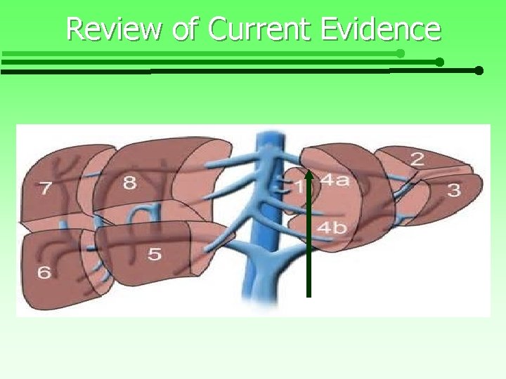 Review of Current Evidence 