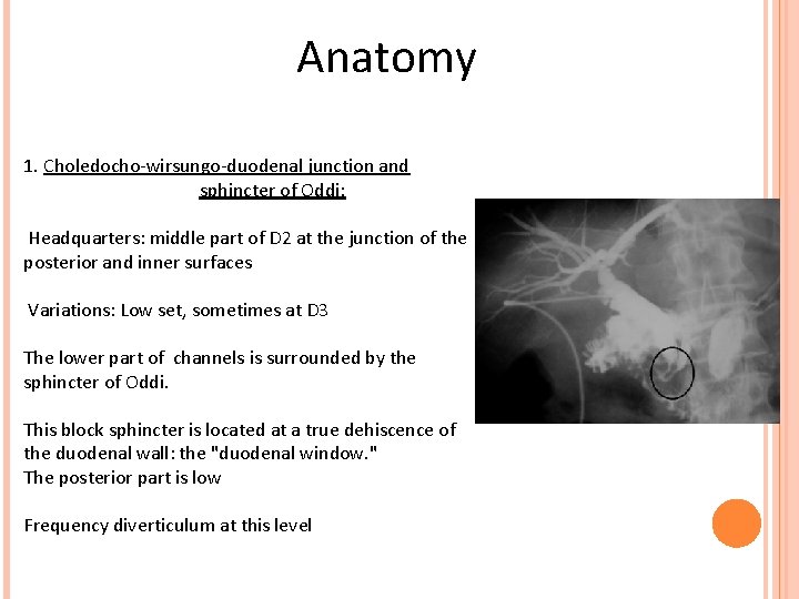 Anatomy 1. Choledocho-wirsungo-duodenal junction and sphincter of Oddi: Headquarters: middle part of D 2