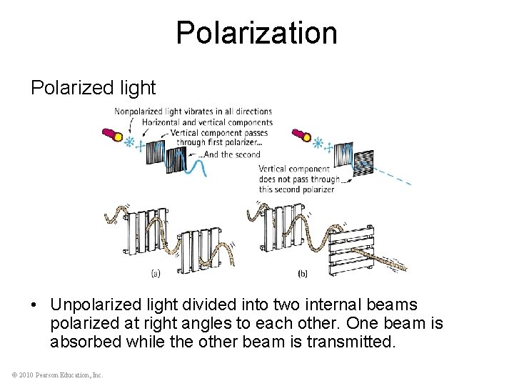 Polarization Polarized light • Unpolarized light divided into two internal beams polarized at right