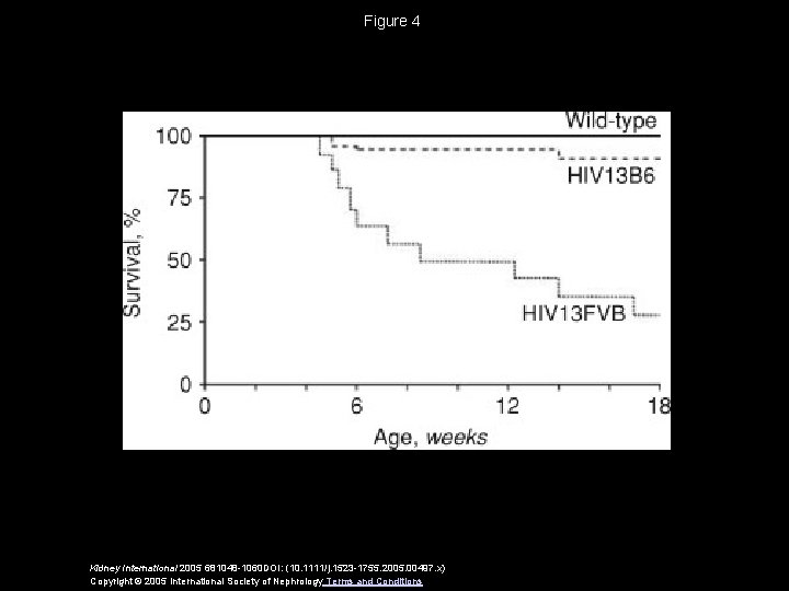 Figure 4 Kidney International 2005 681048 -1060 DOI: (10. 1111/j. 1523 -1755. 2005. 00497.