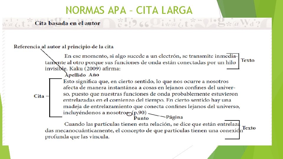 NORMAS APA – CITA LARGA 