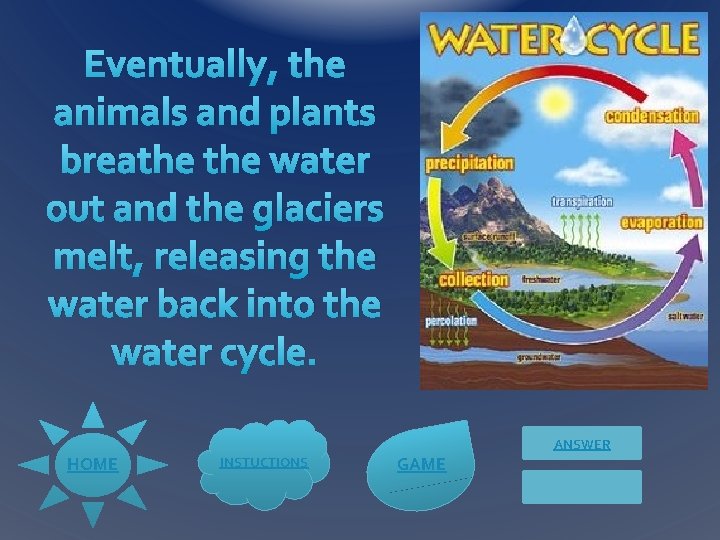 Eventually, the animals and plants breathe water out and the glaciers melt, releasing the