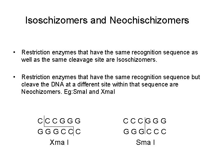 Isoschizomers and Neochischizomers • Restriction enzymes that have the same recognition sequence as well