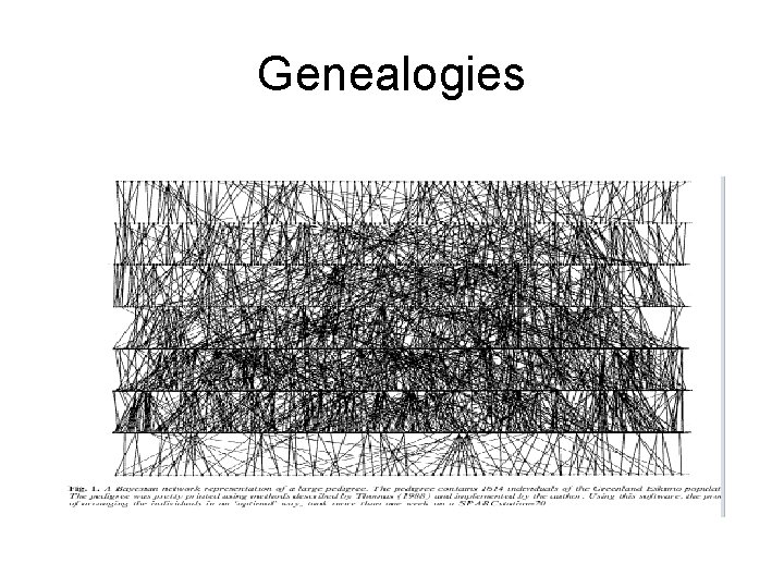 Genealogies Genealogies